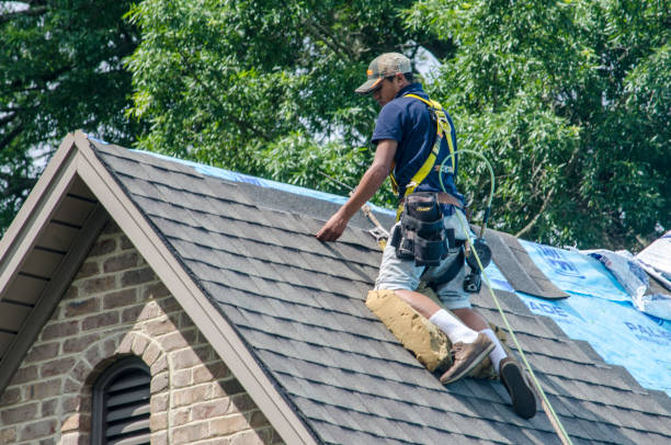Best Shingle Roofing Installation  in Mahopac, NY